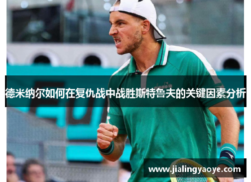 德米纳尔如何在复仇战中战胜斯特鲁夫的关键因素分析