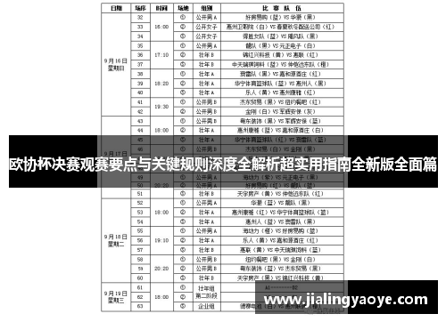 欧协杯决赛观赛要点与关键规则深度全解析超实用指南全新版全面篇 欧协杯决赛观赛要点与关键规则深度全解析超实用指南全新版全面篇