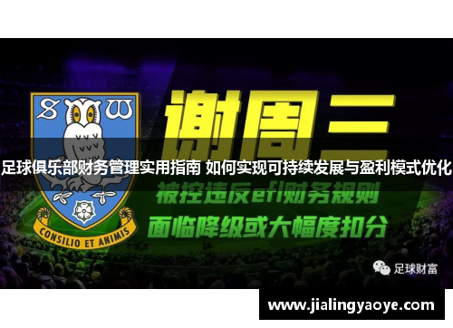 足球俱乐部财务管理实用指南 如何实现可持续发展与盈利模式优化