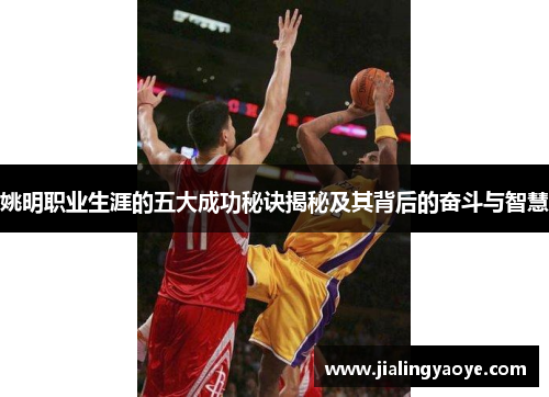 姚明职业生涯的五大成功秘诀揭秘及其背后的奋斗与智慧